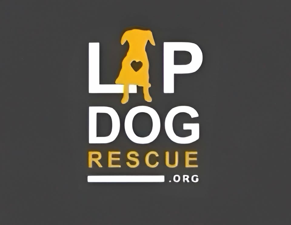 Lap Dog Rescue of New Mexico